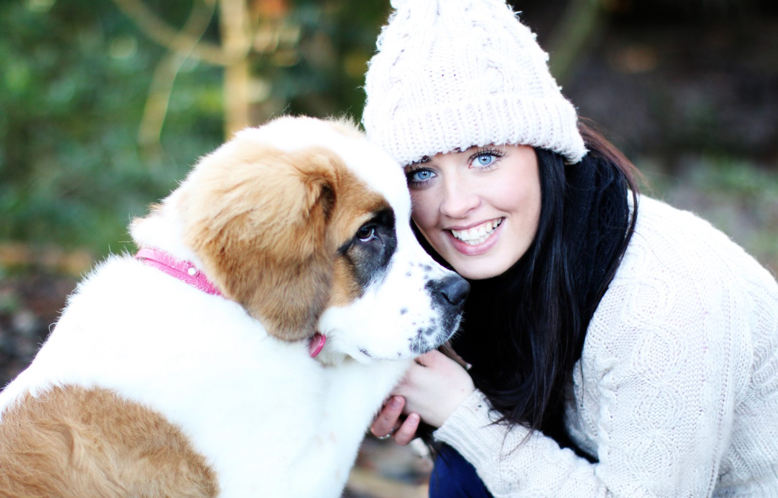 photo sessions with your pet northern ireland